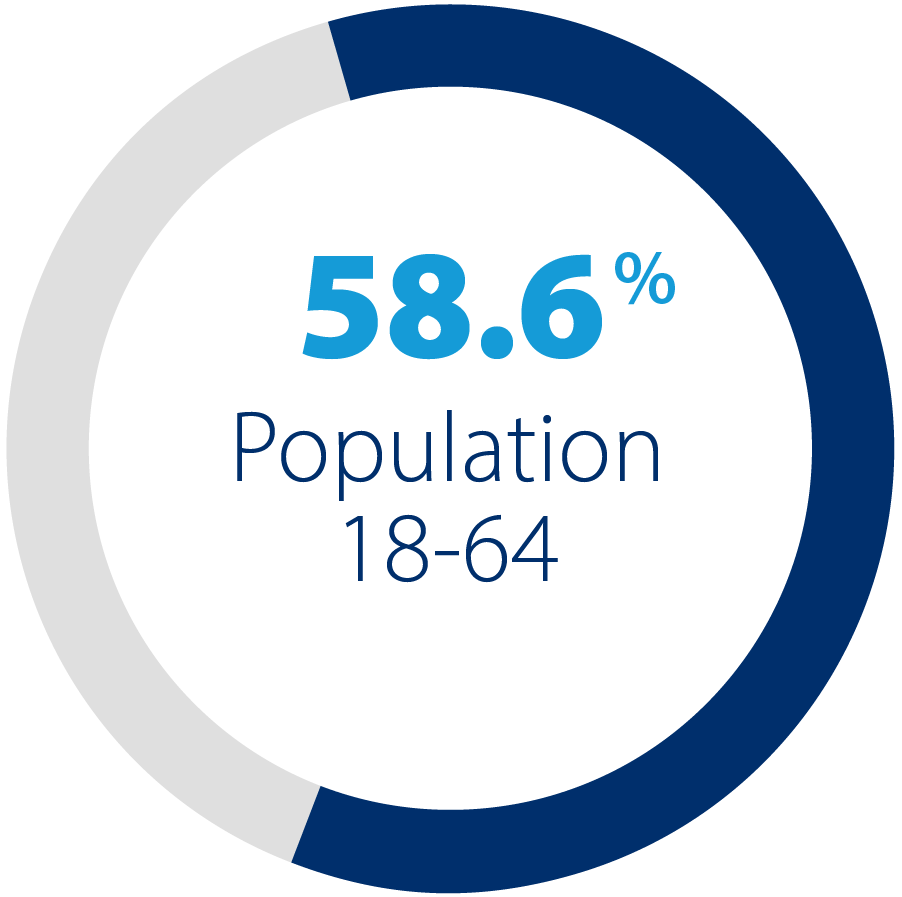 Pie chart showing population 18-64 is 58.6%